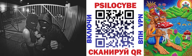 Псилоцибиновые грибы мухоморы  дарк нет официальный сайт  Семёнов  наркошоп 